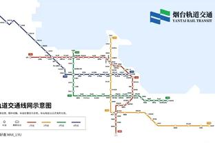 意甲4场3球1助，卢卡-约维奇当选米兰12月最佳球员